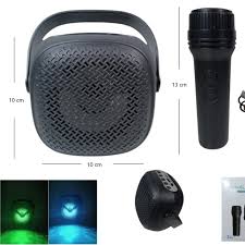 GTS-1941 Wireless Speaker with Karaoke & Voice Changer